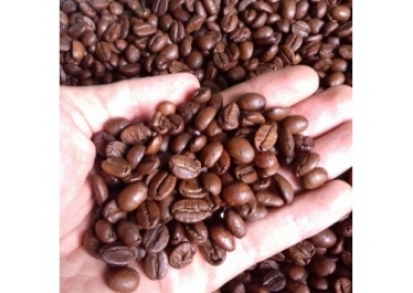 ARABICA CẦU ĐẤT