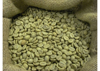 ARABICA CẦU ĐẤT