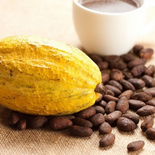  CACAO – THẢO DƯỢC THẦN KỲ